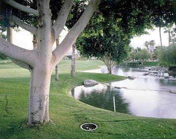 Allscape lighting deals