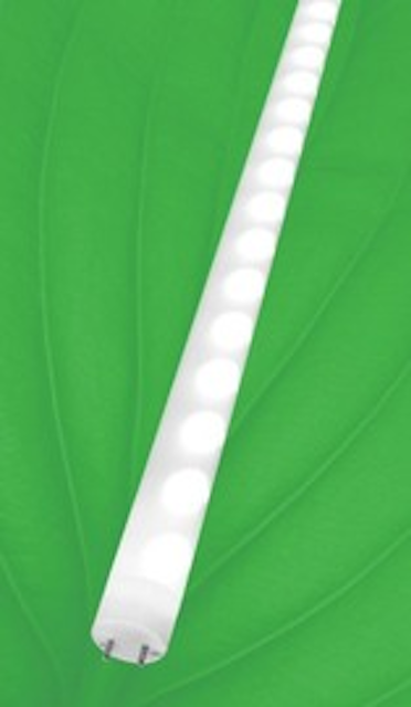 16287 0 thumb