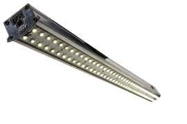 16975 0 thumb
