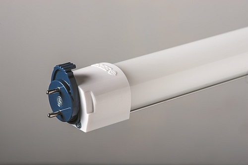 cree t8 led tube