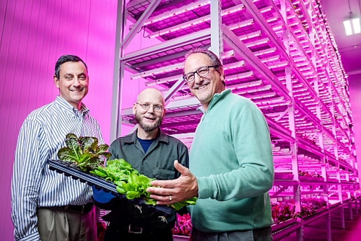 Philips and Green Sense Farms harness LEDs for horticulture