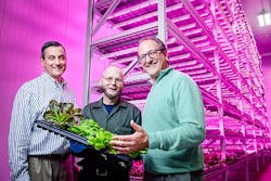 Philips and Green Sense Farms harness LEDs for horticulture