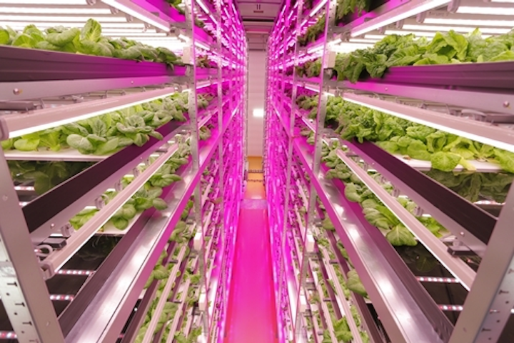 LED lighting advances in horticultural applications, boosts productivity