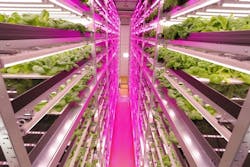 LED lighting advances in horticultural applications, boosts productivity