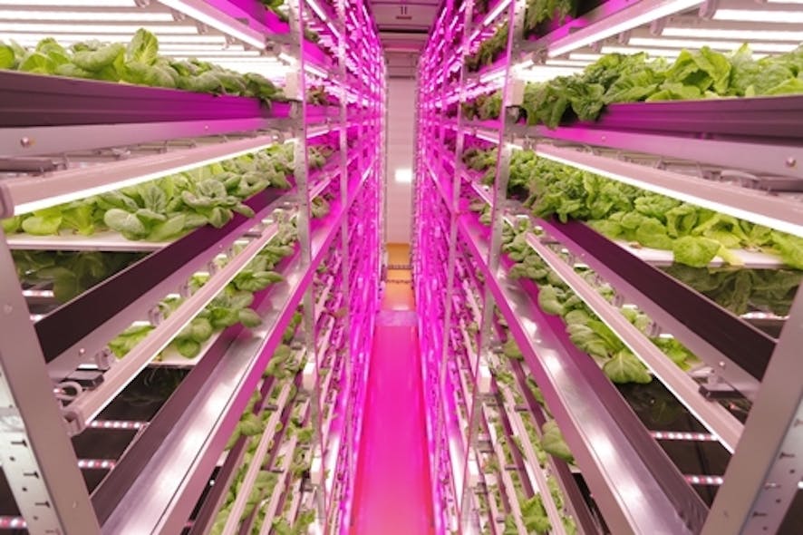 LED lighting advances in horticultural applications, boosts productivity