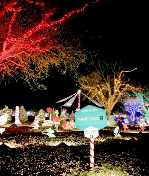 Focus Digital Displays and Spectacular Media donate LED displays for Austin's Trail of Lights