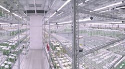 Valoya delivers wide-spectrum LED tubes for Selecta Klemm&apos;s tissue culture production facility