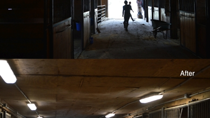 MaxLite and National Grid discover LED lighting reliability advantages in ‘equiculture’