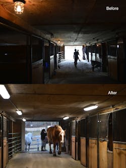 MaxLite and National Grid discover LED lighting reliability advantages in &lsquo;equiculture&rsquo;