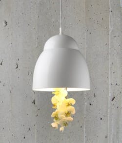 Designer Jan Flook launches Bloom decorative pendant light