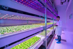 LED horticultural lighting: Philips GrowWise Center and Purdue studies space