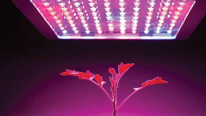 LEDs Magazine slates horticultural lighting conference for October in Chicago