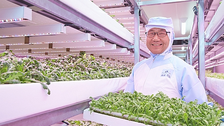 Philips Lighting details two new LED-lit vertical farms in Japan