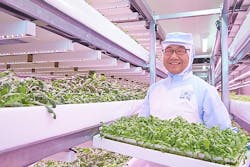 Philips Lighting details two new LED-lit vertical farms in Japan