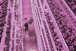 Science advances in matching LED lighting to horticultural needs (MAGAZINE)