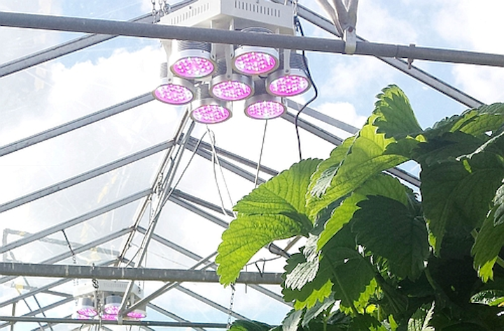 Plessey presents at LEDs Magazine's Horticultural Lighting Conference in Chicago