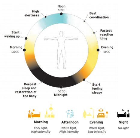 LightingEurope and IALD issue position paper on human-centric lighting