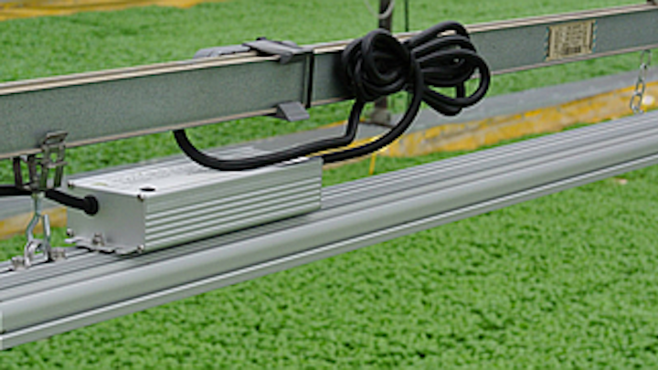 A horticultural lighting fixture developed by Ambra Elettronica uses a mix of Osram LEDs to reduce the basil production cycle as well as energy usage at an Italian grower.