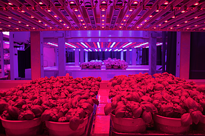 LED horticultural lighting is set to change growing operations by increasing yields