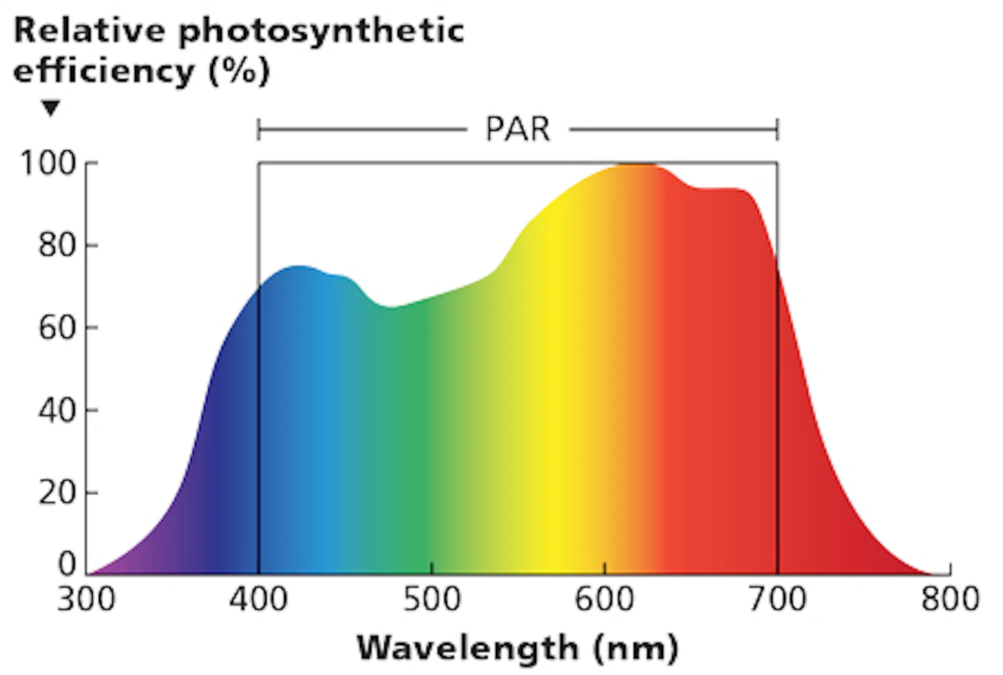 Understand Energy Efficiency Of Led Horticultural Lighting Systems Magazine Leds Magazine