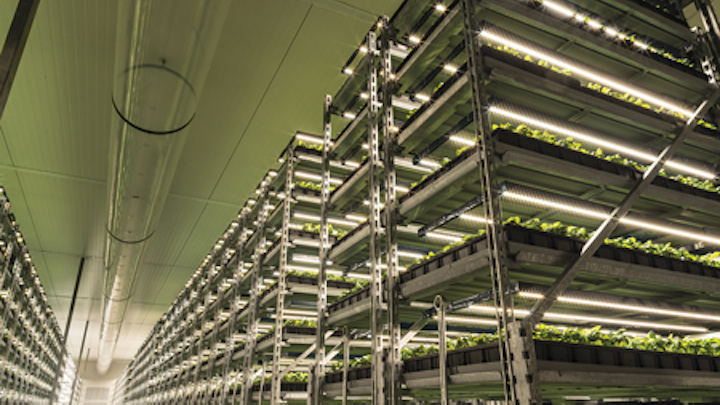 Understand energy efficiency of LED horticultural lighting systems