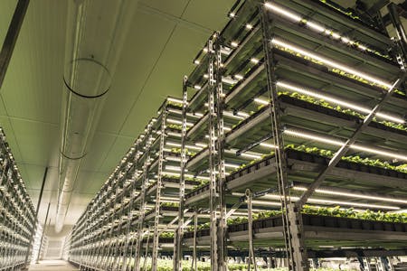 Understand energy efficiency of LED horticultural lighting systems