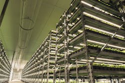 Understand energy efficiency of LED horticultural lighting systems