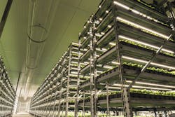 Understand energy efficiency of LED horticultural lighting systems Understand energy efficiency of LED horticultural lighting systems