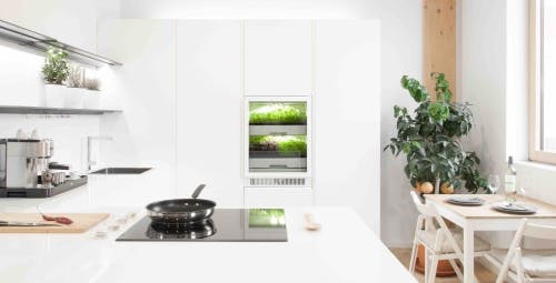 Osram buys stake in grow box startup for home horticultural market