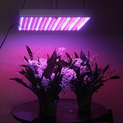 ASABE publishes a metric standard for LED-based horticultural lighting
