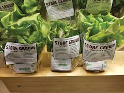 1709ledsf2 Fig1 1709ledsf2 Fig1