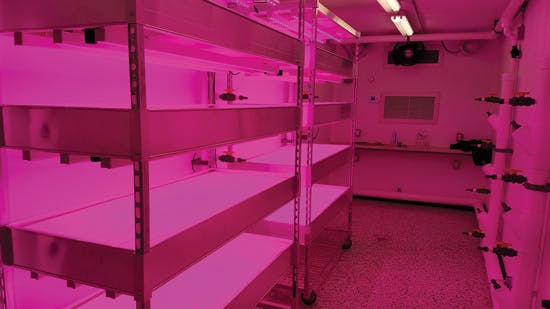 Grocer uses LED horticultural lighting for store-grown produce