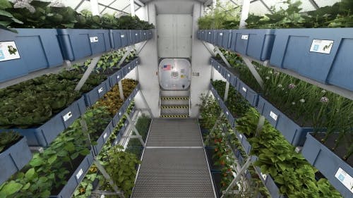 NASA utilizes Osram LED horticultural lighting to tune recipes for plants in space