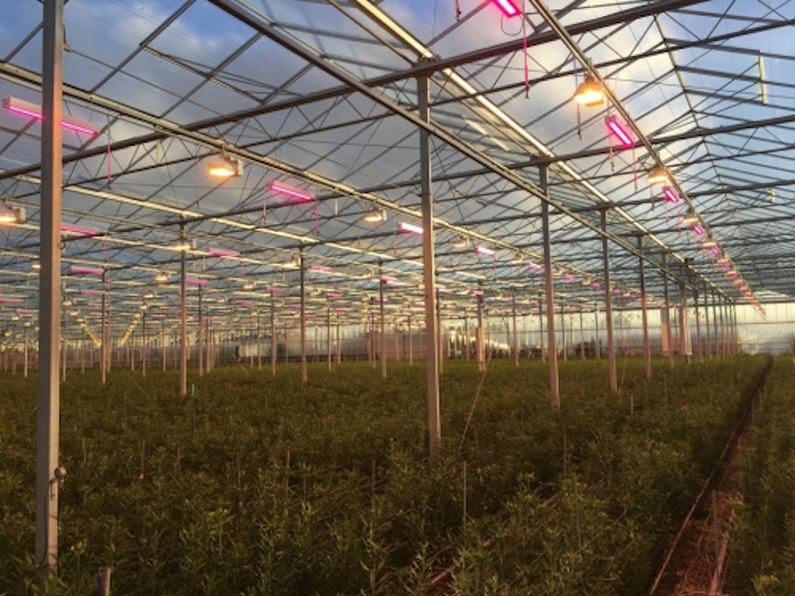 Content Dam Leds Article 2018 9 Ledshortnews092718