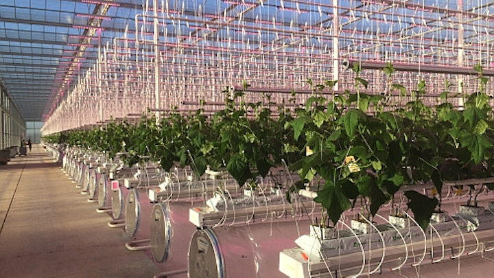 Content Dam Leds Article 2019 1 Ledssignifynews011519