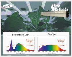 Content Dam Leds Onlinearticles 2019 02 Seoul021519