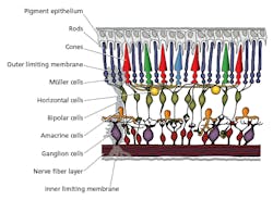 1903ledf5 Mas Z03 1903ledf5 Mas Z03