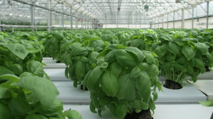Lighting Research Center adding graduate program in tunable lighting for crops and plants