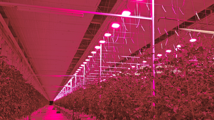 Plessey First Phase Installation Of Hyperion Led Top Lights