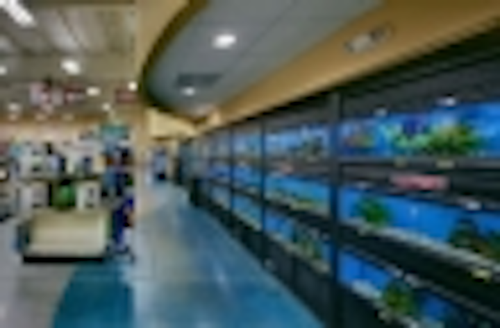 Content Dam Leds En Articles Iif 2013 01 Led And Fluorescent Lighting By Acuity Brands Installed At Virginia Pet Retailer Leftcolumn Article Thumbnailimage File
