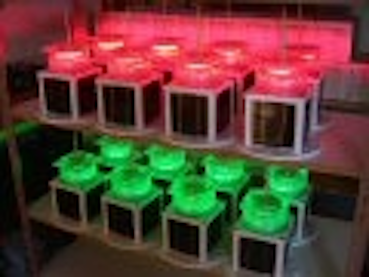 Content Dam Leds En Articles Print Volume 2 Issue 12 Features Delegates Highlight Required Improvements In Led Lighting Leftcolumn Article Thumbnailimage File