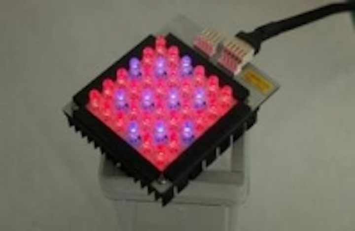 Content Dam Leds En Ugc 2007 03 Led Panel For An Experiment Of Plantation Lm Board Leftcolumn Article Thumbnailimage File