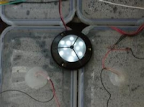 Content Dam Leds En Ugc 2009 03 Leds Driven By Photo Electrochemical Self Renewable Cells Leftcolumn Article Thumbnailimage File
