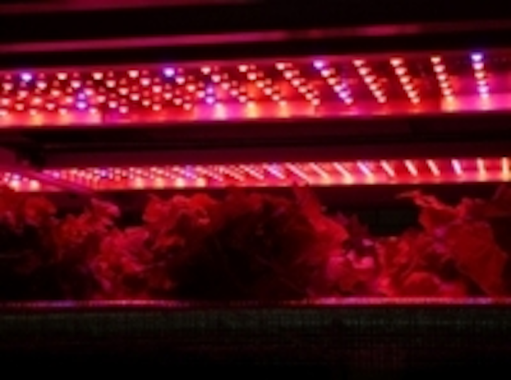 Content Dam Leds En Ugc 2009 03 Seoul Semiconductor To Supply Leds For Farming To Japanese Ministry Leftcolumn Article Thumbnailimage File