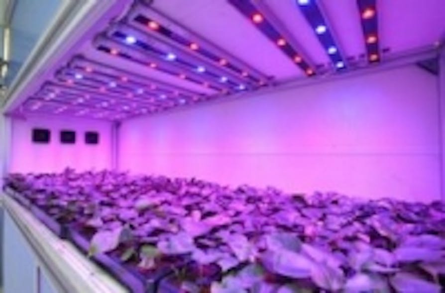 Content Dam Leds En Ugc 2009 06 Philips Sows Seeds For Energy Efficient Horticulture Through Led Lighting Partnership With Bvb Subst Leftcolumn Article Thumbnailimage File