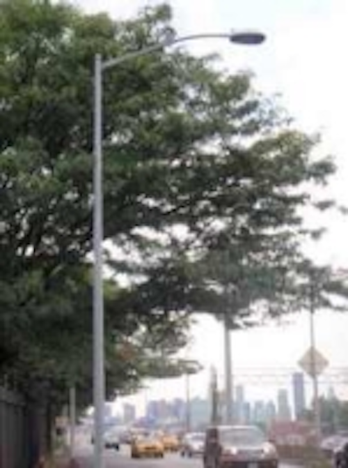 Content Dam Leds En Ugc 2009 09 Kingsun Cobra Head Street Light Standing In New York Expressway Leftcolumn Article Thumbnailimage File