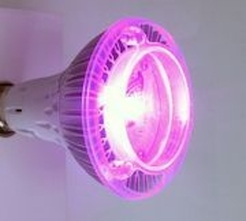 Content Dam Leds En Ugc 2009 11 Grow Herbs With Glaciallight Plant Growing Led Lights Leftcolumn Article Thumbnailimage File