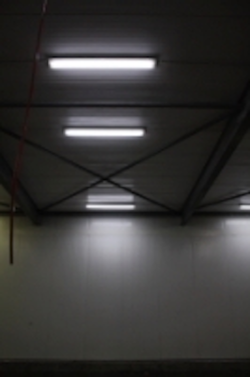 Content Dam Leds En Ugc 2009 12 Poultry Factory Installs Led Tl Tubes From Pa Systems Leftcolumn Article Thumbnailimage File