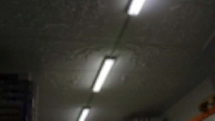 Content Dam Leds En Ugc 2010 10 Belgian Poultry Slaughter Belki Installed Pas Ngl T 8 Tubes In Coldstorage Leftcolumn Article Thumbnailimage File