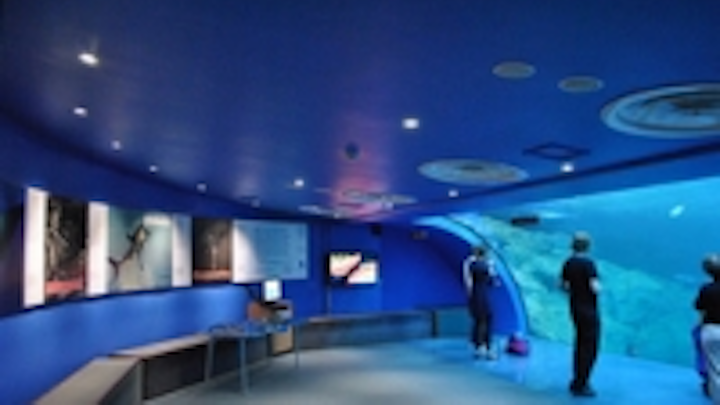 Content Dam Leds En Ugc 2011 06 Megaman Leds Illuminate The Uk S Largest Aquarium Leftcolumn Article Thumbnailimage File